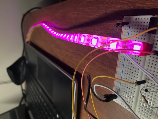 LED strip displaying Magenta